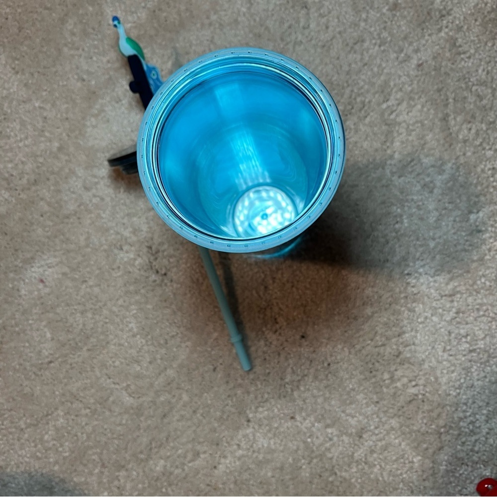 Starbucks holiday Winter 2024 peacock Cold Tumbler Cup 24 oz venti straw & cover - Picture 12 of 14
